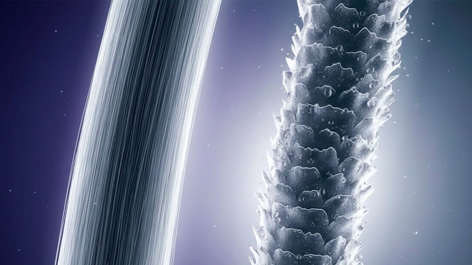 O que são cabelos porosos? Entenda e recupere os fios O que são cabelos porosos? Entenda e recupere os fios - Capa