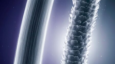 O que são cabelos porosos? Entenda e recupere os fios O que são cabelos porosos? Entenda e recupere os fios - Capa